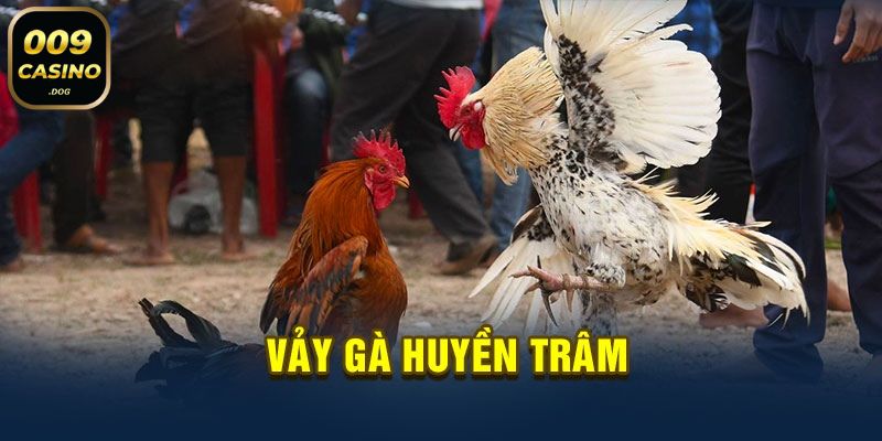 vay ga huyen tram 009 casino 2